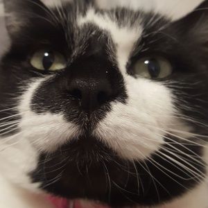 Meet your Posher, Olivia